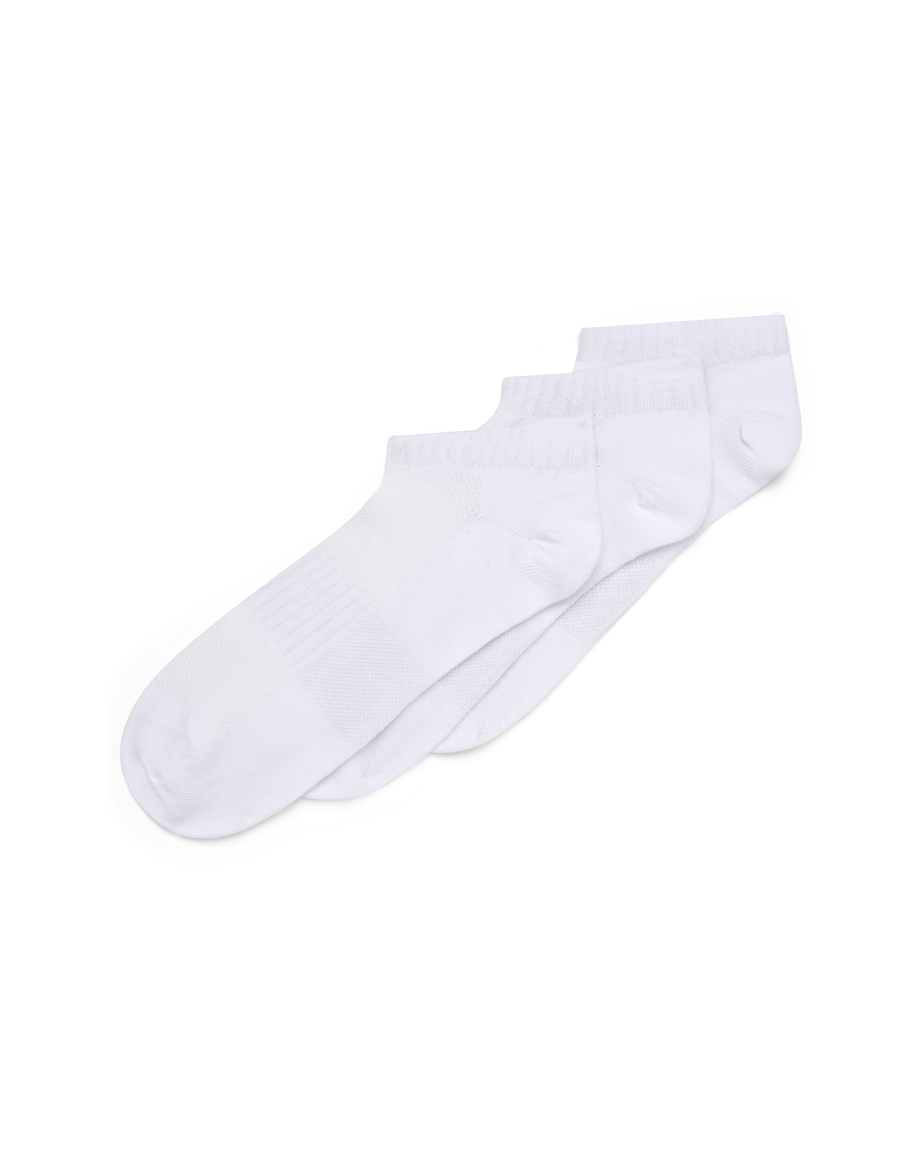 תמונת מוצר 2